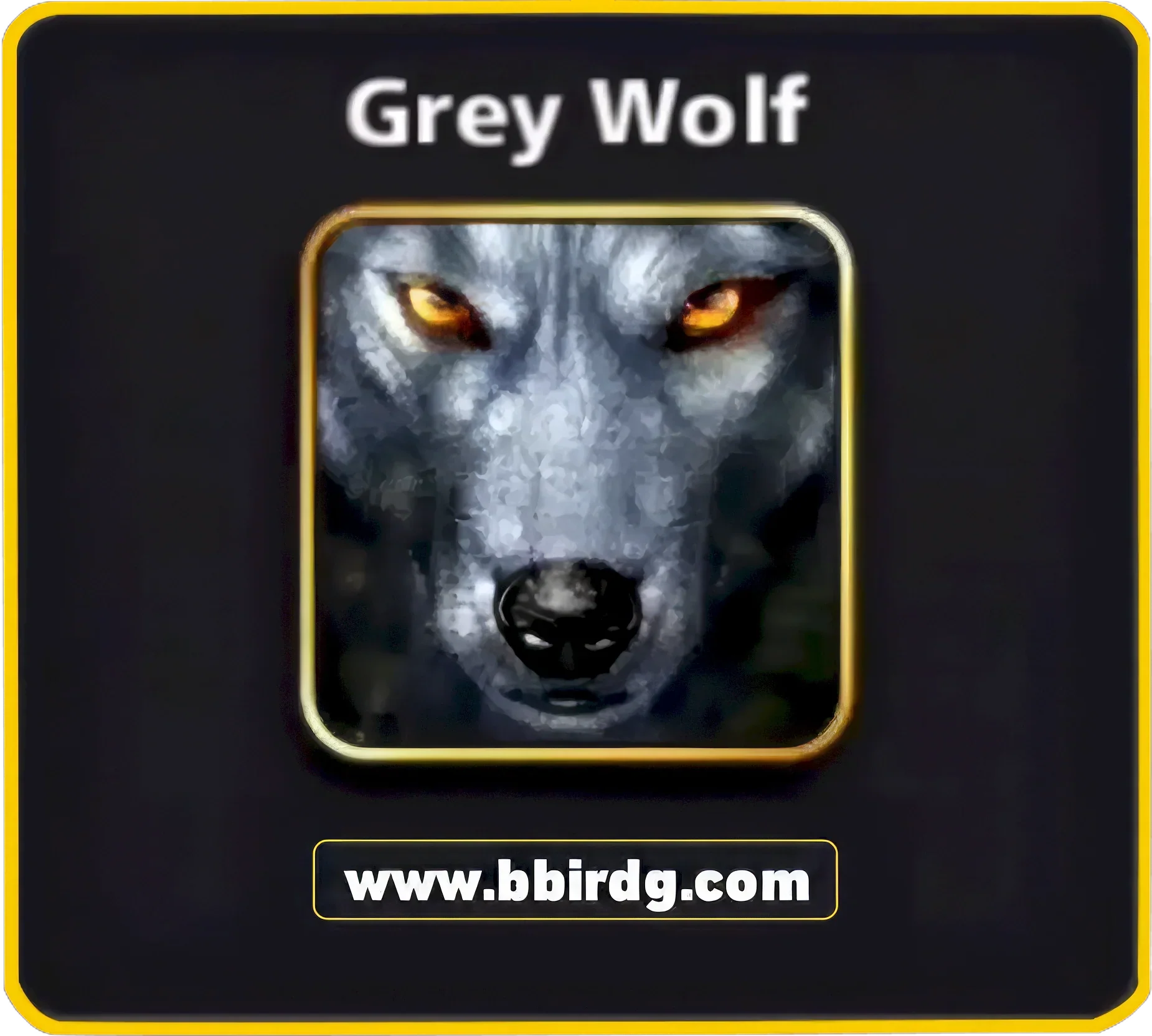 5 Avatars Bundle: Fiery Orange, Glowing Green, Grey Wolf, Harvester, Hunter | 8 Ball Pool - Image 3